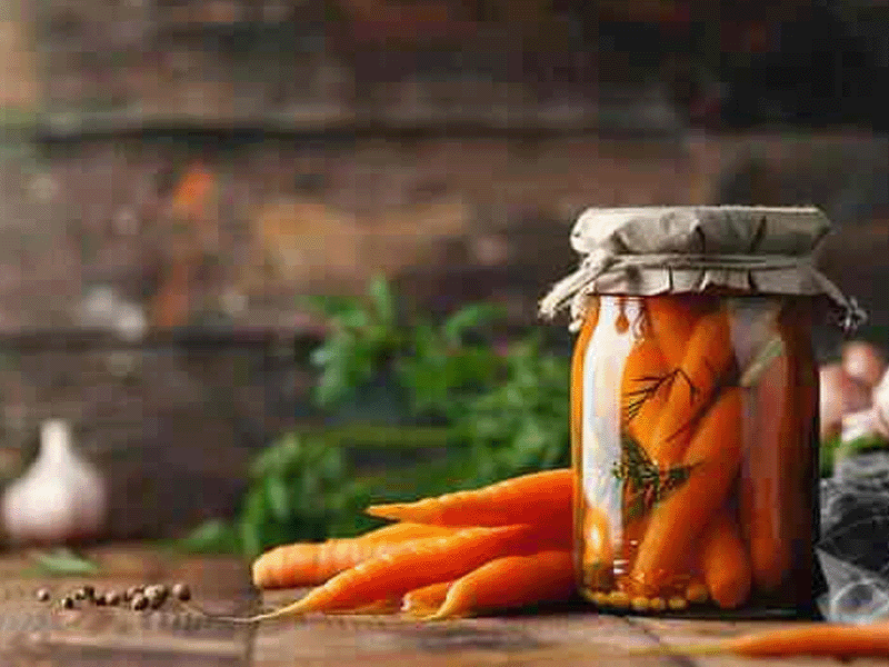 TechVision Solutions